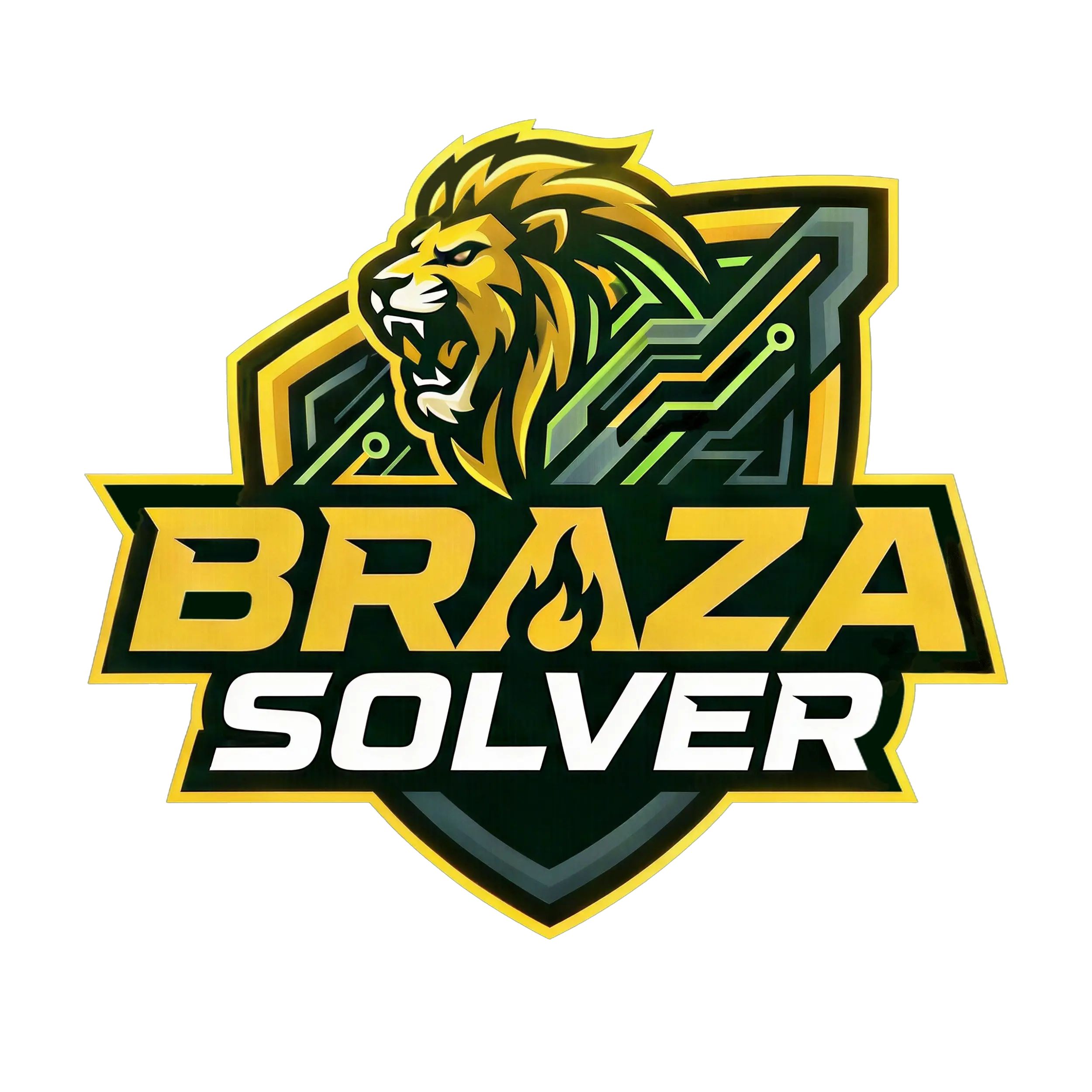 Braza Solver